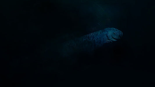 The Quandary of the Oarfish: Doomsday Fish