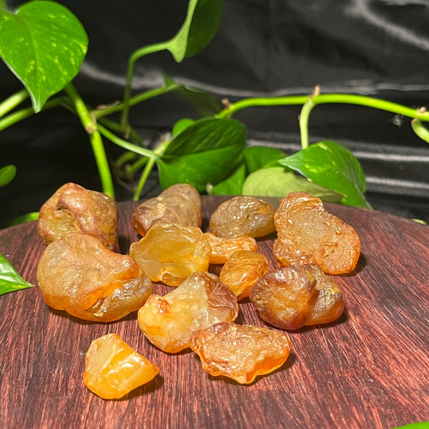 Chalcedony Var. Carnelian warm light