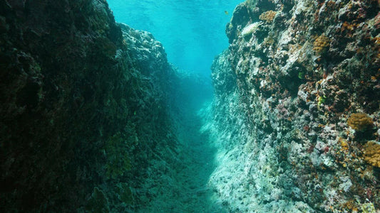 Mariana trench