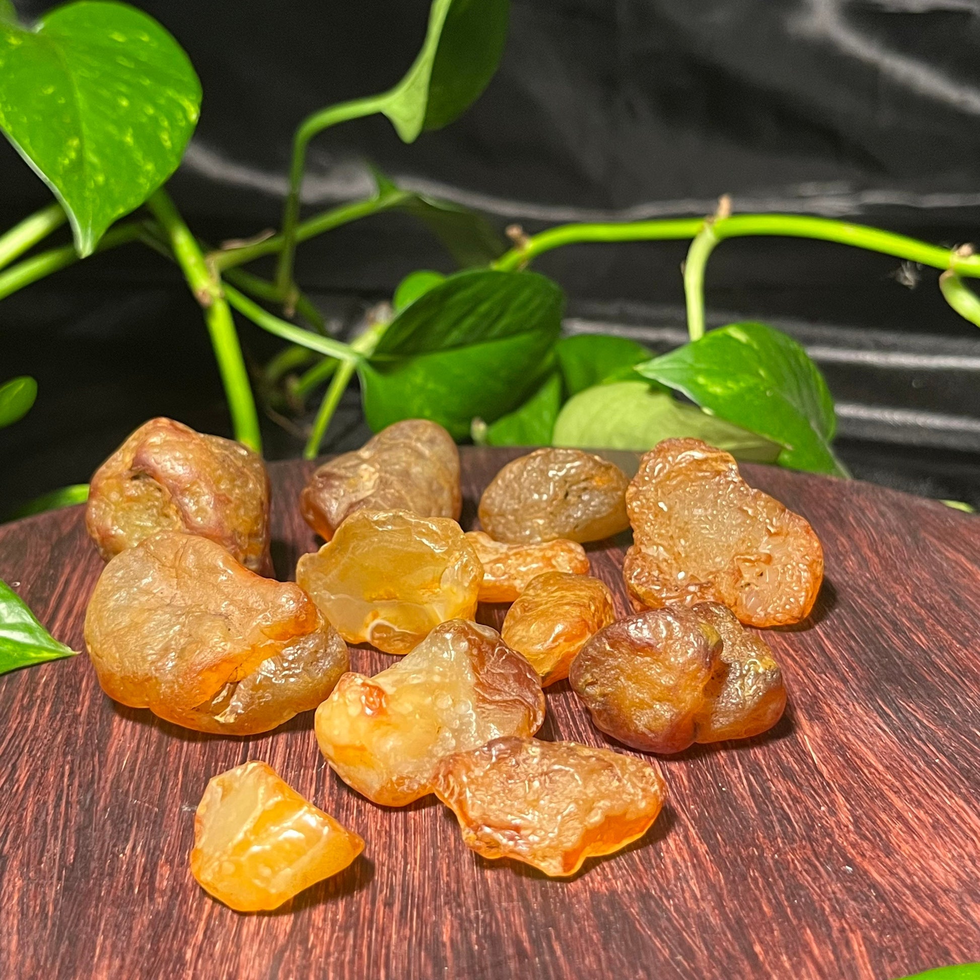 Chalcedony Var. Carnelian warm light