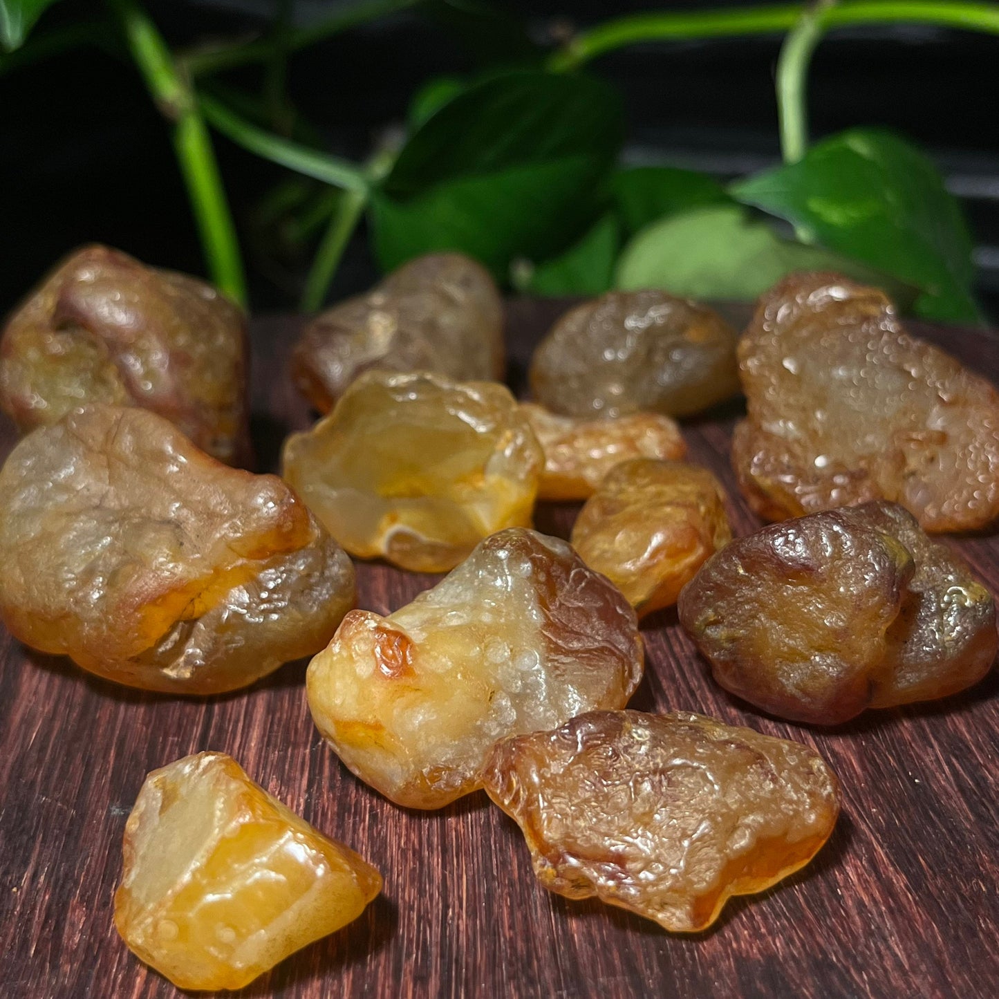 Chalcedony Var. Carnelian close up